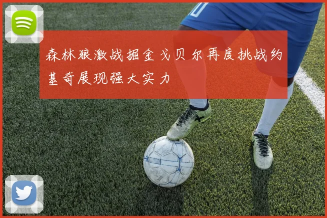 森林狼激战掘金戈贝尔再度挑战约基奇展现强大实力