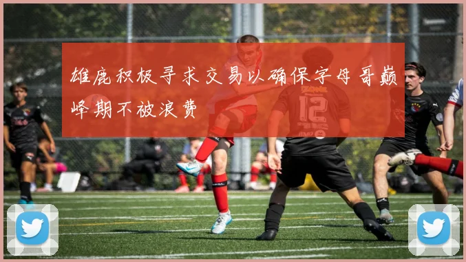 雄鹿积极寻求交易以确保字母哥巅峰期不被浪费